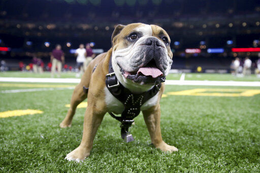 Mississippi State at Arkansas: